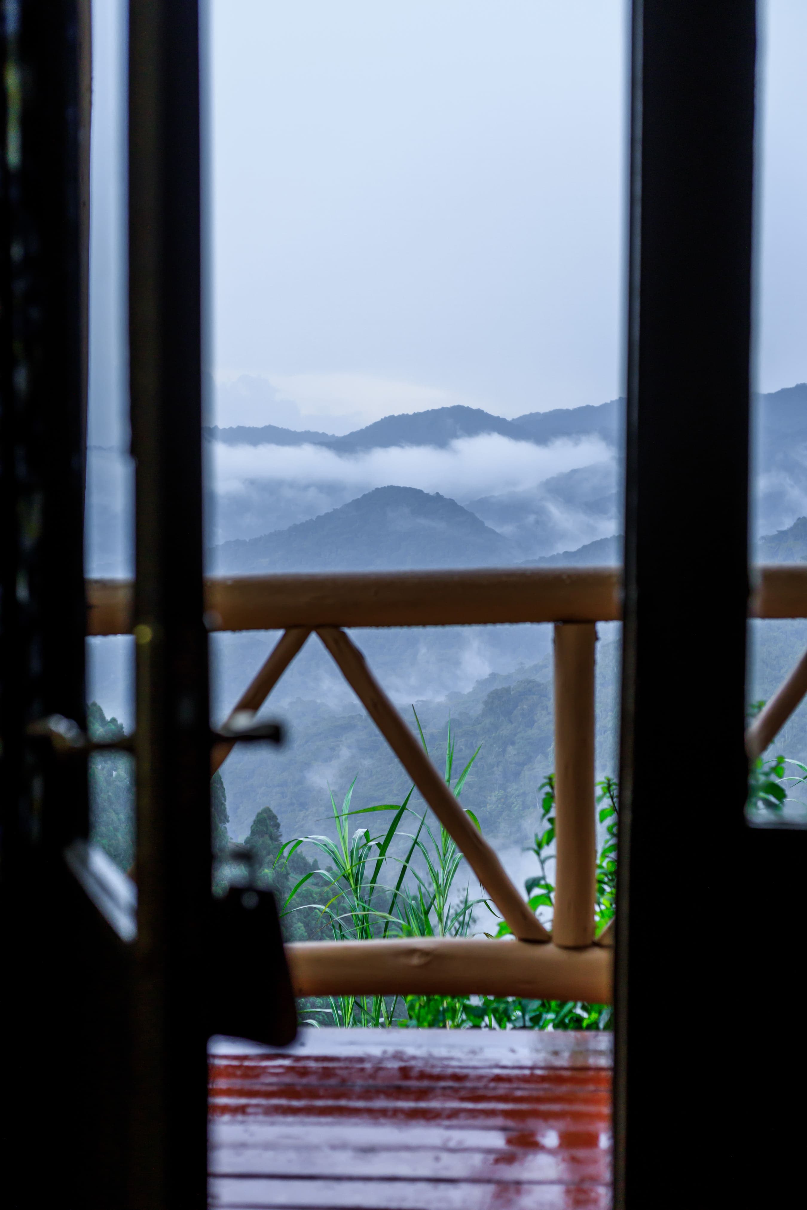Lodge room with forest view